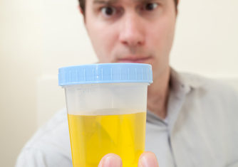 THE LIFE CYCLE OF A DRUG TEST PROCEDURE